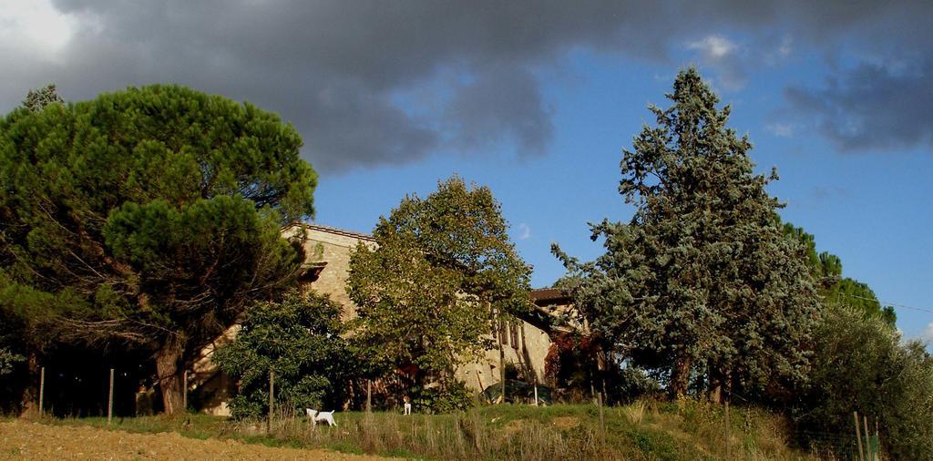 B&B Della Rosa Civitella D'Arna Esterno foto