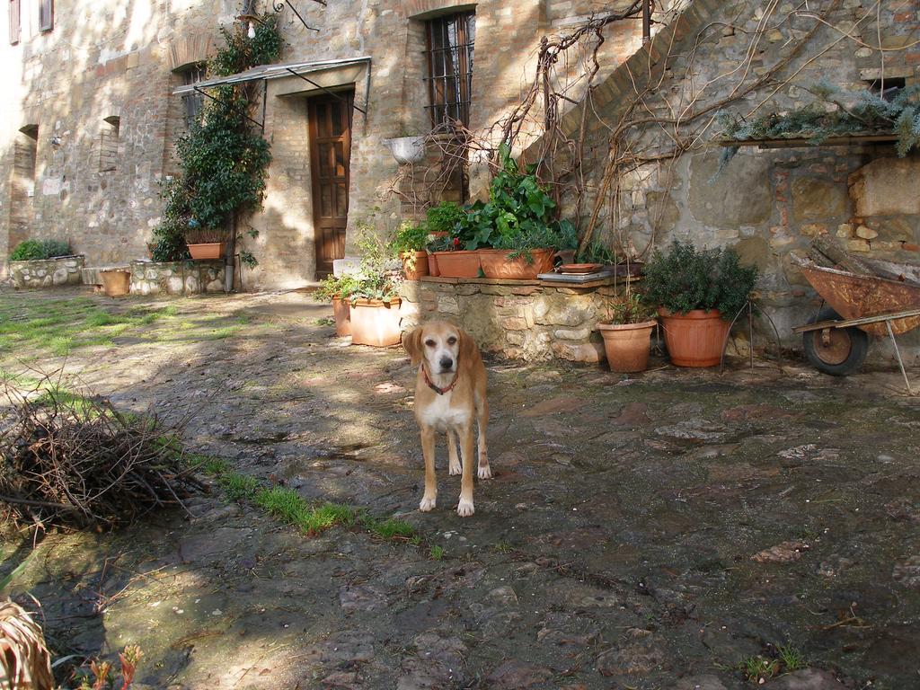 B&B Della Rosa Civitella D'Arna Esterno foto