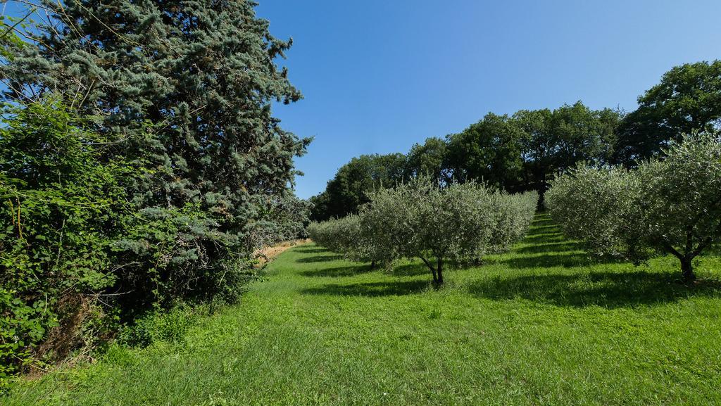 B&B Della Rosa Civitella D'Arna Esterno foto